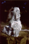 website012009.jpg