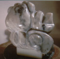 website024006.jpg